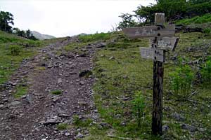 �O�����R�`�����`�������R�`��Ƀ��r�`�ܐF�� | ���������R�n�C�L���O