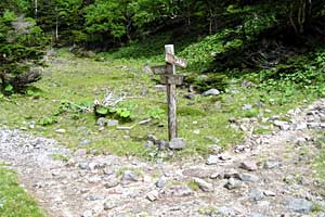 �ܐF���`�ܐF�R�`�������`�������� | ���������R�n�C�L���O