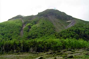 �O�����R�`�����`�������R�`��Ƀ��r�`�ܐF�� | ���������R�n�C�L���O