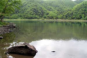 �O�����R�`�����`�������R�`��Ƀ��r�`�ܐF�� | ���������R�n�C�L���O