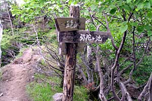 �ܐF���`�ܐF�R�`�������`�������� | ���������R�n�C�L���O