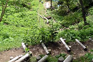 �ܐF���`�ܐF�R�`�������`�������� | ���������R�n�C�L���O