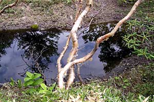 �ܐF���`�ܐF�R�`�������`�������� | ���������R�n�C�L���O