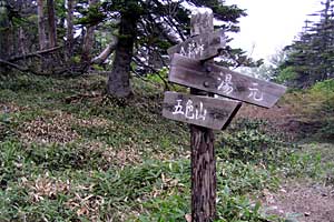 �ܐF���`�ܐF�R�`�������`�������� | ���������R�n�C�L���O