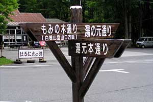 �ܐF���`�ܐF�R�`�������`�������� | ���������R�n�C�L���O