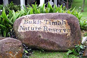 �u�L�o�g�N�`�u�L�e�B�}���R�ی��r�W�^�[�Z���^�[�`�u�L�e�B�}�T�~�b�g | �V���K�|�[���ō���g���b�L���O