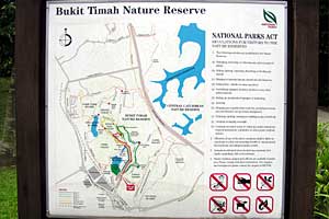 �u�L�o�g�N�`�u�L�e�B�}���R�ی��r�W�^�[�Z���^�[�`�u�L�e�B�}�T�~�b�g | �V���K�|�[���ō���g���b�L���O