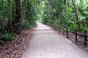 �u�L�o�g�N�`�u�L�e�B�}���R�ی��r�W�^�[�Z���^�[�`�u�L�e�B�}�T�~�b�g | �V���K�|�[���ō���g���b�L���O