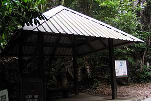 �u�L�o�g�N�`�u�L�e�B�}���R�ی��r�W�^�[�Z���^�[�`�u�L�e�B�}�T�~�b�g | �V���K�|�[���ō���g���b�L���O