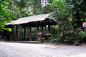 �u�L�o�g�N�`�u�L�e�B�}���R�ی��r�W�^�[�Z���^�[�`�u�L�e�B�}�T�~�b�g | �V���K�|�[���ō���g���b�L���O