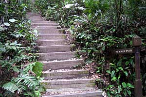 �u�L�o�g�N�`�u�L�e�B�}���R�ی��r�W�^�[�Z���^�[�`�u�L�e�B�}�T�~�b�g | �V���K�|�[���ō���g���b�L���O