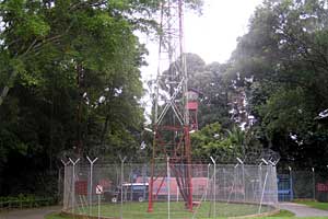 �u�L�o�g�N�`�u�L�e�B�}���R�ی��r�W�^�[�Z���^�[�`�u�L�e�B�}�T�~�b�g | �V���K�|�[���ō���g���b�L���O