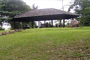 �u�L�o�g�N�`�u�L�e�B�}���R�ی��r�W�^�[�Z���^�[�`�u�L�e�B�}�T�~�b�g | �V���K�|�[���ō���g���b�L���O