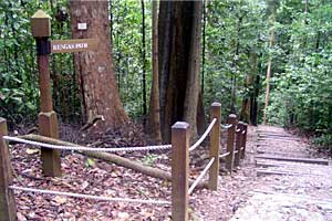 �u�L�e�B�}�T�~�b�g�`�T�E�X�r���[�n�b�g�`�r�W�^�[�Z���^�[ | �V���K�|�[���ō���g���b�L���O