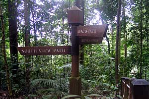 �u�L�e�B�}�T�~�b�g�`�T�E�X�r���[�n�b�g�`�r�W�^�[�Z���^�[ | �V���K�|�[���ō���g���b�L���O