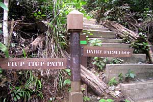 �u�L�e�B�}�T�~�b�g�`�T�E�X�r���[�n�b�g�`�r�W�^�[�Z���^�[ | �V���K�|�[���ō���g���b�L���O