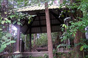 �u�L�e�B�}�T�~�b�g�`�T�E�X�r���[�n�b�g�`�r�W�^�[�Z���^�[ | �V���K�|�[���ō���g���b�L���O