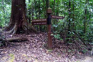 �u�L�e�B�}�T�~�b�g�`�T�E�X�r���[�n�b�g�`�r�W�^�[�Z���^�[ | �V���K�|�[���ō���g���b�L���O