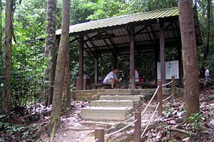 �u�L�e�B�}�T�~�b�g�`�T�E�X�r���[�n�b�g�`�r�W�^�[�Z���^�[ | �V���K�|�[���ō���g���b�L���O