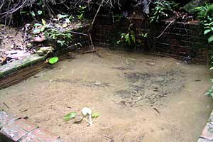 �u�L�e�B�}�T�~�b�g�`�T�E�X�r���[�n�b�g�`�r�W�^�[�Z���^�[ | �V���K�|�[���ō���g���b�L���O