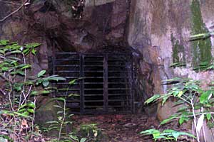 �u�L�e�B�}�T�~�b�g�`�T�E�X�r���[�n�b�g�`�r�W�^�[�Z���^�[ | �V���K�|�[���ō���g���b�L���O