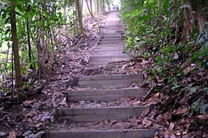 �u�L�e�B�}�T�~�b�g�`�T�E�X�r���[�n�b�g�`�r�W�^�[�Z���^�[ | �V���K�|�[���ō���g���b�L���O