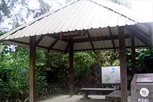 �u�L�e�B�}�T�~�b�g�`�T�E�X�r���[�n�b�g�`�r�W�^�[�Z���^�[ | �V���K�|�[���ō���g���b�L���O