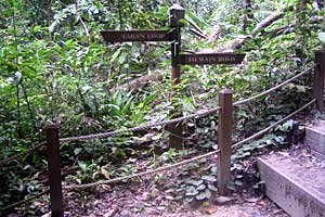 �u�L�e�B�}�T�~�b�g�`�T�E�X�r���[�n�b�g�`�r�W�^�[�Z���^�[ | �V���K�|�[���ō���g���b�L���O