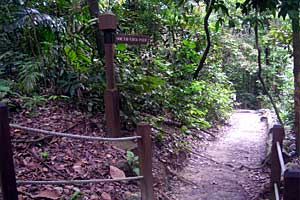 �u�L�e�B�}�T�~�b�g�`�T�E�X�r���[�n�b�g�`�r�W�^�[�Z���^�[ | �V���K�|�[���ō���g���b�L���O