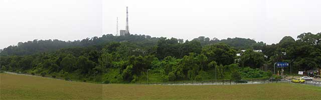 �u�L�e�B�}�T�~�b�g�`�T�E�X�r���[�n�b�g�`�r�W�^�[�Z���^�[ | �V���K�|�[���ō���g���b�L���O