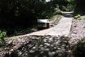 �����_���`���b�W������ | �k�A���v�X�������c��