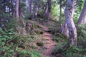 ���b�W������`��m�z�R���`���q�x�`�ܐF���� | �k�A���v�X�������c��