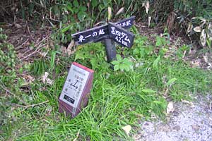 ���b�W������`��m�z�R���`���q�x�`�ܐF���� | �k�A���v�X�������c��