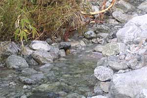 ���b�W������`��m�z�R���`���q�x�`�ܐF���� | �k�A���v�X�������c��