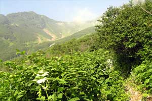 ���b�W������`��m�z�R���`���q�x�`�ܐF���� | �k�A���v�X�������c��