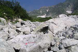 ���b�W������`��m�z�R���`���q�x�`�ܐF���� | �k�A���v�X�������c��