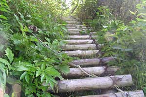 ���b�W������`��m�z�R���`���q�x�`�ܐF���� | �k�A���v�X�������c��