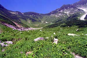 ���b�W������`��m�z�R���`���q�x�`�ܐF���� | �k�A���v�X�������c��