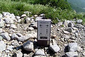 ���b�W������`��m�z�R���`���q�x�`�ܐF���� | �k�A���v�X�������c��