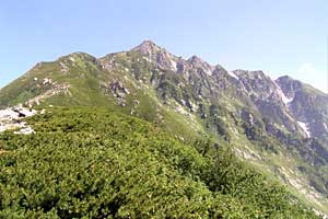 ���b�W������`��m�z�R���`���q�x�`�ܐF���� | �k�A���v�X�������c��