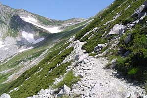 ���b�W������`��m�z�R���`���q�x�`�ܐF���� | �k�A���v�X�������c��