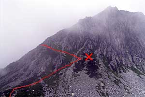 ���b�W������`��m�z�R���`���q�x�`�ܐF���� | �k�A���v�X�������c��