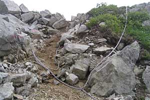 ���b�W������`��m�z�R���`���q�x�`�ܐF���� | �k�A���v�X�������c��