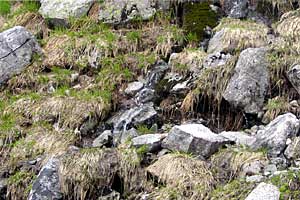 ���b�W������`��m�z�R���`���q�x�`�ܐF���� | �k�A���v�X�������c��