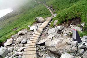 ���b�W������`��m�z�R���`���q�x�`�ܐF���� | �k�A���v�X�������c��