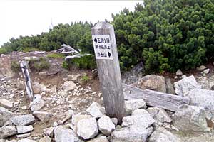 ���b�W������`��m�z�R���`���q�x�`�ܐF���� | �k�A���v�X�������c��