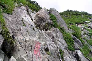 ���b�W������`��m�z�R���`���q�x�`�ܐF���� | �k�A���v�X�������c��