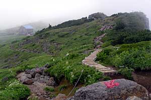 ���b�W������`��m�z�R���`���q�x�`�ܐF���� | �k�A���v�X�������c��