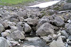 ���b�W������`��m�z�R���`���q�x�`�ܐF���� | �k�A���v�X�������c��