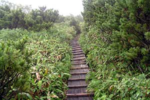 �ܐF�����`�z����x�`�X�S��z | �k�A���v�X�������c��